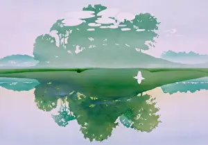 Stretch of water with reflection of trees