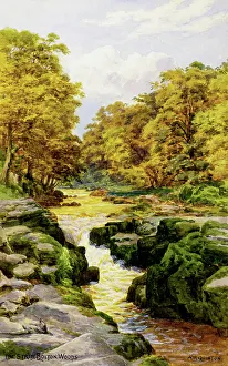 The Strid, Bolton Woods, Wharfedale, North Yorkshire