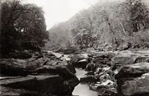 Wharfe Prints: The Strid, River Wharfe, Bolton Woods, Yorkshire