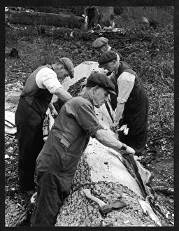 Team Work Gallery: Stripping Oak Bark