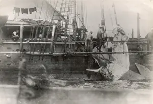 Stripped Prints: Stripping Whale Blubber