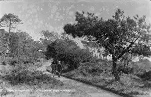 Stroll on the West Cliff