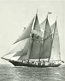 1970s Gallery: STS Malcolm Miller under full sail