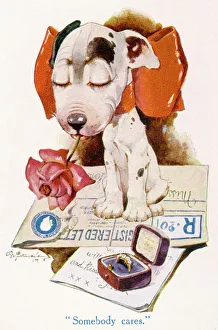 Bonzo Collection: The Studdy Dog - Somebody Cares by George Studdy