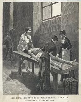 Faculty Collection: Students Dissecting 1880