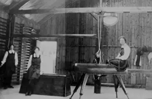 Students in gym with horse, box and ropes
