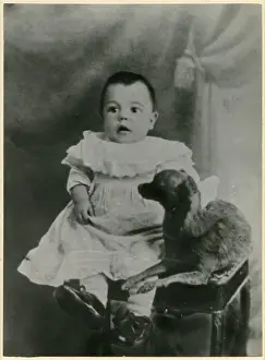 Edwardain Prints: Studio photo, baby and pet dog