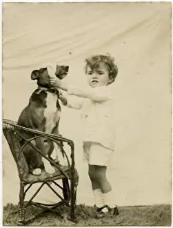 Blindfold Collection: Studio photo, boy putting blindfold on dog