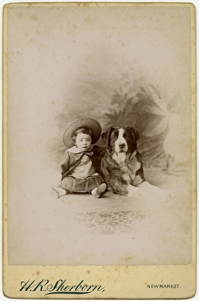 Sailor Suits and Dog