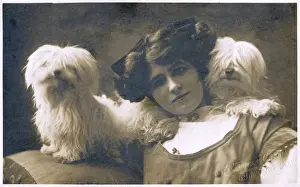 Lapdog Prints: Studio portrait, young woman with two dogs