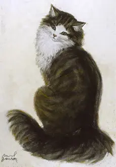 Study of a cat by Muriel Dawson