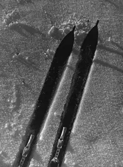 Study of Skis