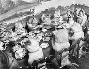 Walter Collection: Stuffed Kittens Lunch