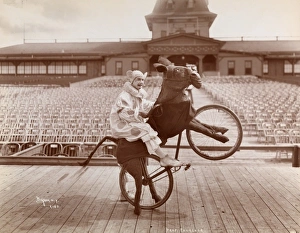Stunt cyclist