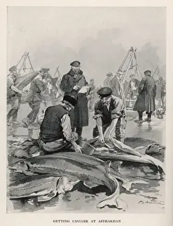 STURGEON CAVIAR EXTRACT