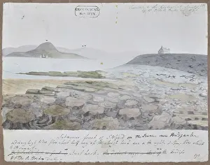 Beche Prints: Submarine forest of Stolford on the Severn near Bridgwater