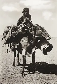 Sturdy Prints: Sudan - Native woman riding a cow - Kordofan