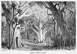Sudan Scenery
