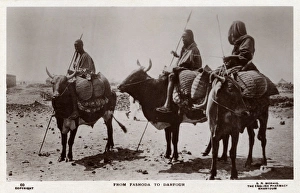 Fashoda Gallery: Sudan - Travelling by Ox between Fashoda and Darfour