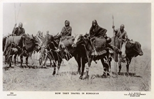 Packs Gallery: Sudan - Travelling by Ox in Kurdufan Province