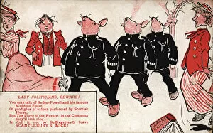 Beware Gallery: Suffragette, Beware Scantleburys Mice