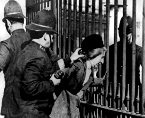 Images Dated 21st August 2015: Suffragette at Buckingham Palace