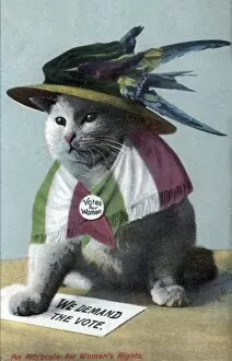 Wspu Gallery: Suffragette Cat In Hat and Flag