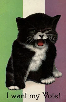 Suffragettes Gallery: Suffragette Cat I Want My Vote