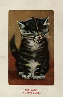 Reads Prints: Suffragette, Cat In Muzzle, the Vote