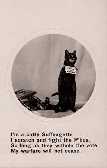Suffragette Collection: Suffragette Cat Scratch and Fight Police