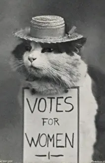 Suffragette Cat in Straw Hat Votes for Women