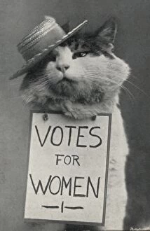 Votes Collection: Suffragette Cat in Straw Hat Votes for Women