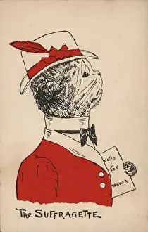 Suffragette Cat Votes for Women