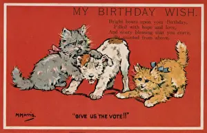 Give Prints: Suffragette Cats and Dog Fight Birthday Wish