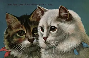 Claim Prints: Suffragette cats Never Have A Vote