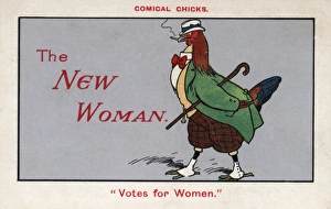 Adopts Gallery: Suffragette Chicken as New Woman