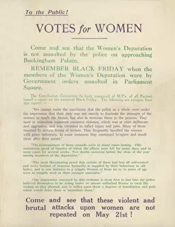 Deputation Collection: Suffragette Deputation to the King 1914