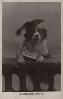 Ranks Prints: Suffragette Dog in Mortar Board