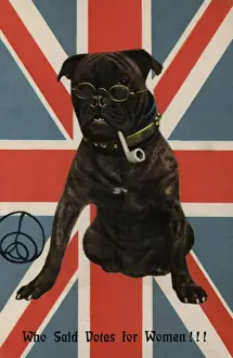 Muzzle Prints: Suffragette Dog with a Pipe and Spectacles