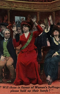 Suffragette Favour Womens Suffrage Suffragette Favour Womens Suffrage