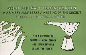 Addresses Prints: Suffragette Geese Miss Hissy
