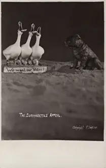 Appeal Prints: Suffragette Geese want a Vote