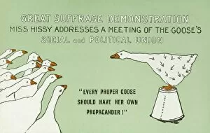 Suffragette as a goose