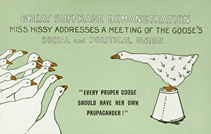 Images Dated 18th April 2011: Suffragette as a goose