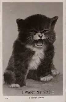 Demands Prints: Suffragette Kitten I Want My Vote
