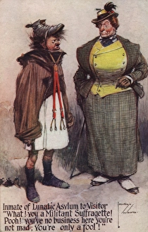 Pooh Gallery: Suffragette Lunatic Asylum