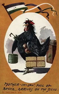 Vive Prints: Suffragette mother-In-Law Cockerel