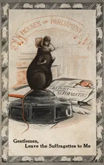 Suffragette Mouse in Houses of Parliament