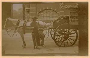 Suffragette Newspaper Seller and Cart