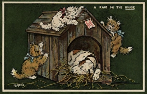 Unaware Collection: Suffragette Raid on the House